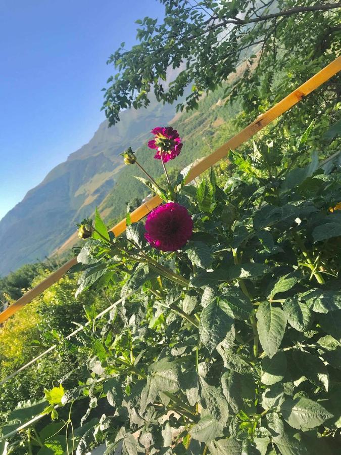 Ana-Maria Bnb Panzió Tatev Kültér fotó