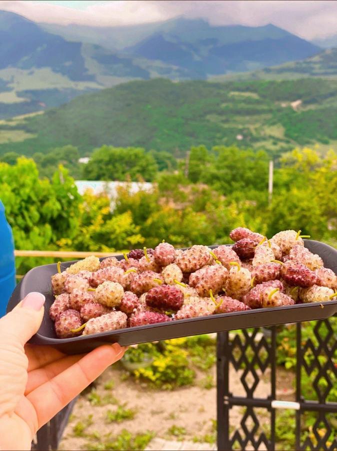 Ana-Maria Bnb Panzió Tatev Kültér fotó