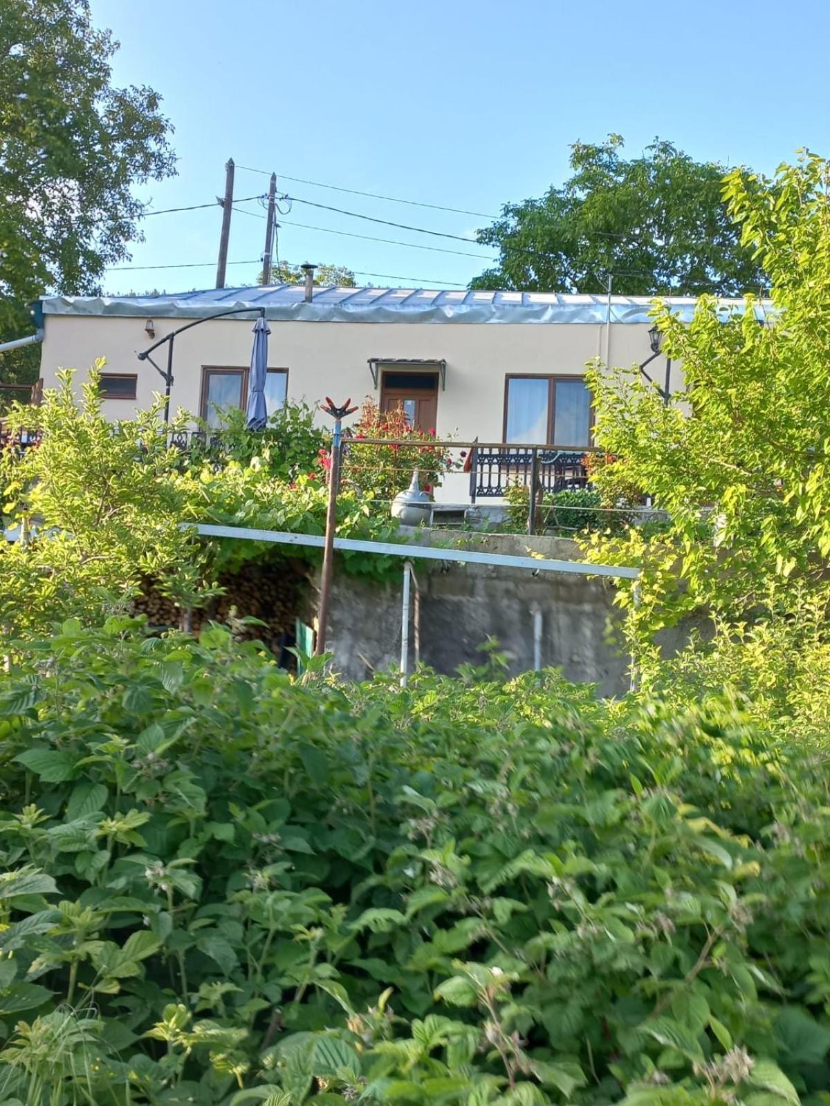 Ana-Maria Bnb Panzió Tatev Kültér fotó