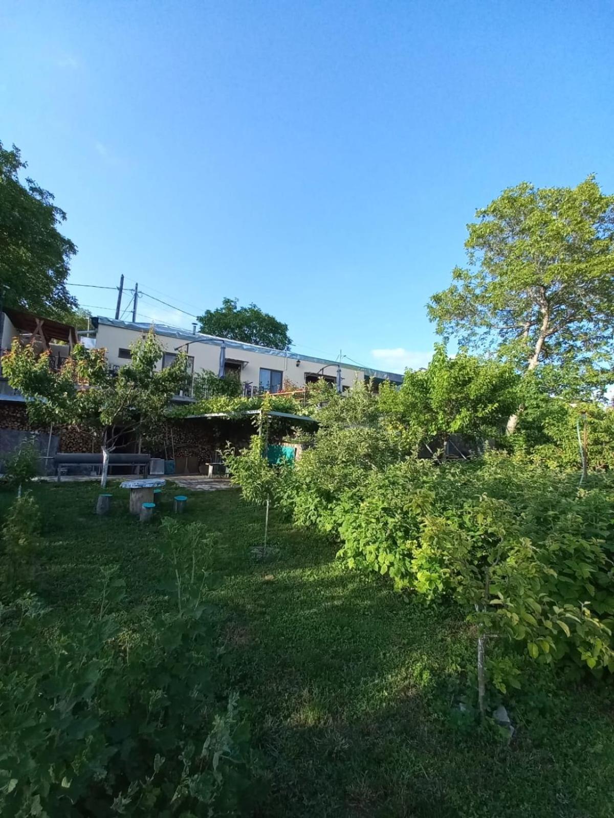 Ana-Maria Bnb Panzió Tatev Kültér fotó